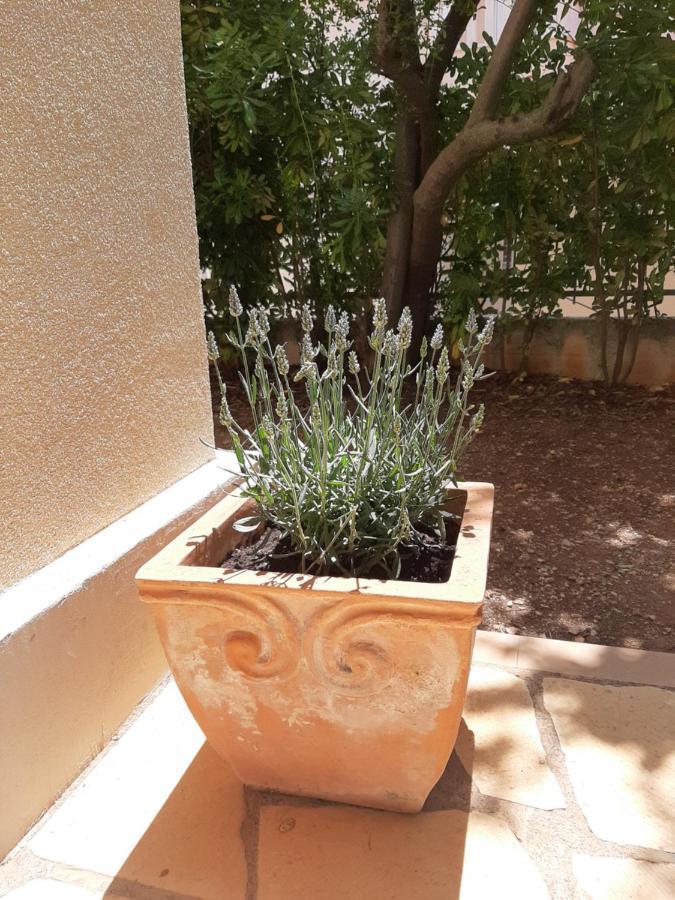Kuca Za Odmor Lavanda Poljica  外观 照片